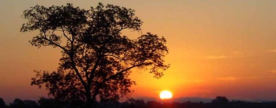 Sunrise_Le_Grand_Champ_LR-800x313